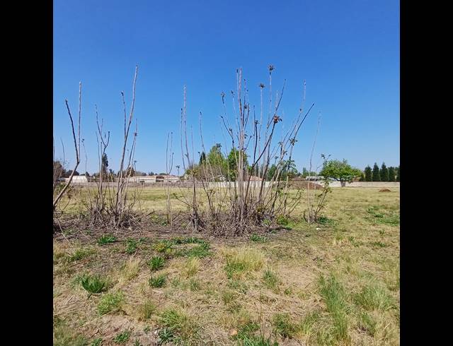 2,000M² VACANT LAND FOR SALE IN HENLEY ON KLIP
